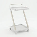 ECG Machine Trolley | 2 TRay